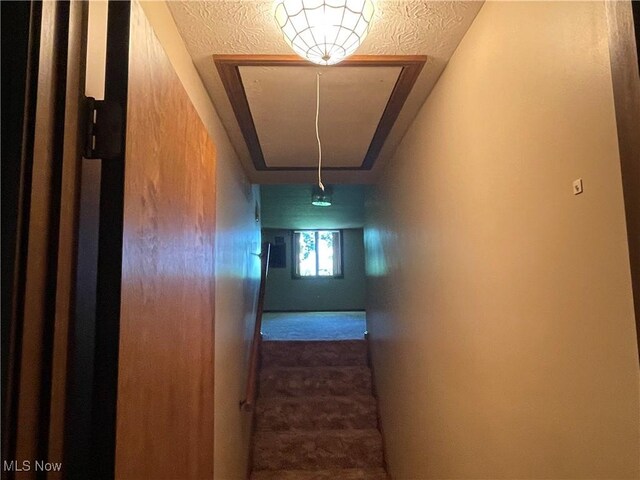 5450 King Graves Rd, Vienna, OH 44473 - hallway featuring attic access