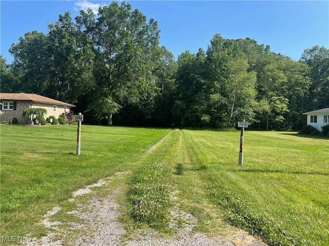 5450 King Graves Rd, Vienna, OH 44473 - view of grassy yard