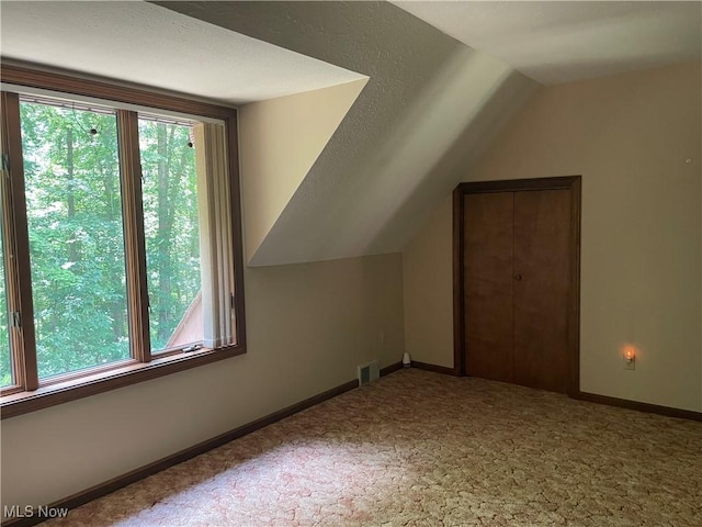 5450 King Graves Rd, Vienna, OH 44473 - bonus room featuring plenty of natural light, lofted ceiling, and carpet flooring