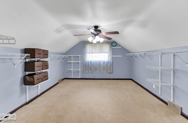 201 Noble St W, East Canton, OH 44730 - walk in closet with a ceiling fan, carpet floors, and vaulted ceiling
