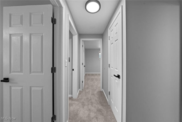 1303 E Dartmoor Ave, Seven Hills, OH 44131 - hallway with light carpet and baseboards