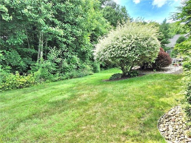 8672 Kimblewick Ln NE, Warren, OH 44484 - photo 8