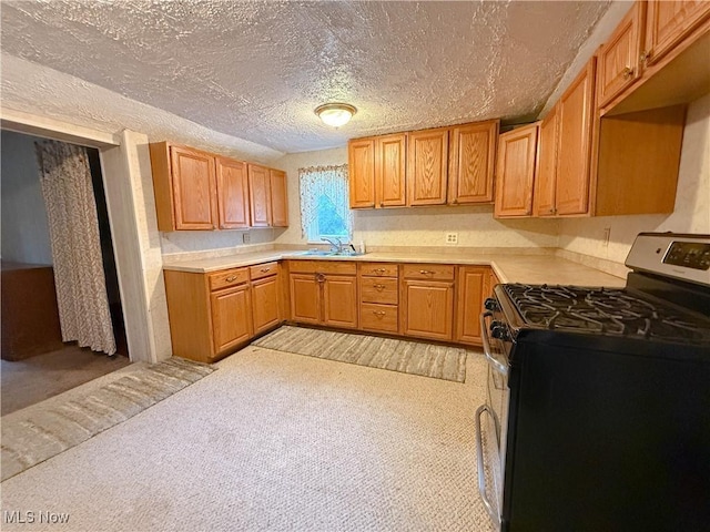 8756 Cook Rd, Salem, OH 44460 - kitchen featuring stainless steel range with gas cooktop, light countertops, light carpet, a textured ceiling, and brown cabinets
