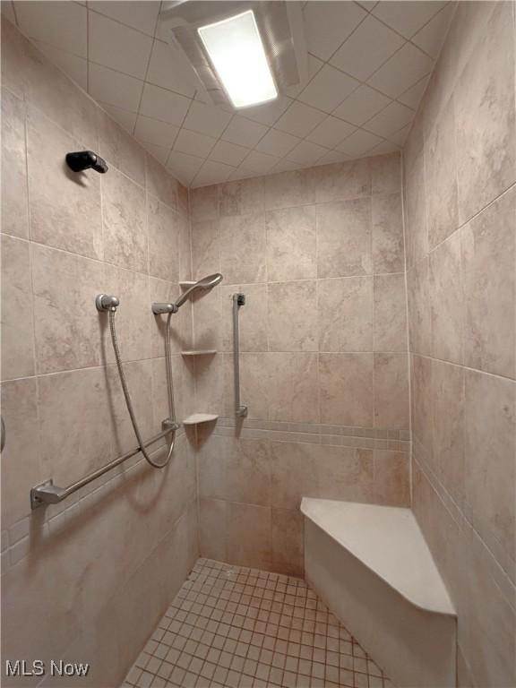 8756 Cook Rd, Salem, OH 44460 - bathroom with tiled shower