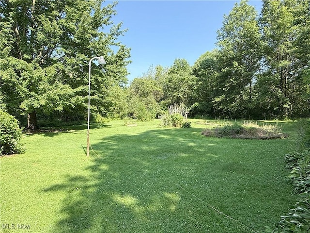 8756 Cook Rd, Salem, OH 44460 - photo 39