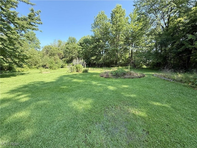 8756 Cook Rd, Salem, OH 44460 - view of grassy yard