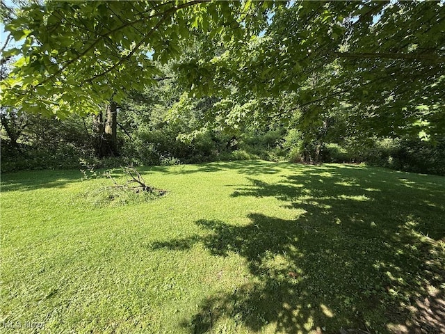 8756 Cook Rd, Salem, OH 44460 - view of green lawn