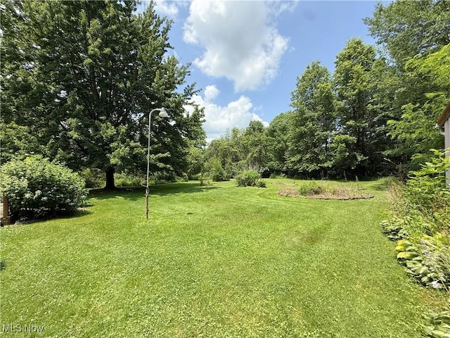 8756 Cook Rd, Salem, OH 44460 - photo 42
