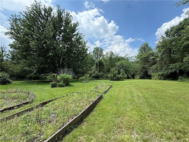 8756 Cook Rd, Salem, OH 44460 - photo 45