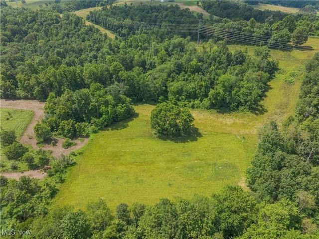 2176 Pageant Rd SE, Carrollton, OH 44615 - drone / aerial view