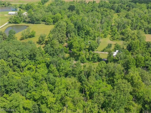 2176 Pageant Rd SE, Carrollton, OH 44615 - photo 33
