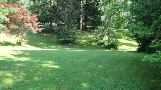 217 W Sunset St, Rittman, OH 44270 - photo 11