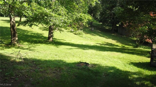 217 W Sunset St, Rittman, OH 44270 - photo 13