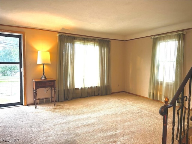 carpeted empty room with plenty of natural light