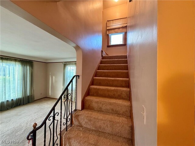 stairway with carpet and plenty of natural light