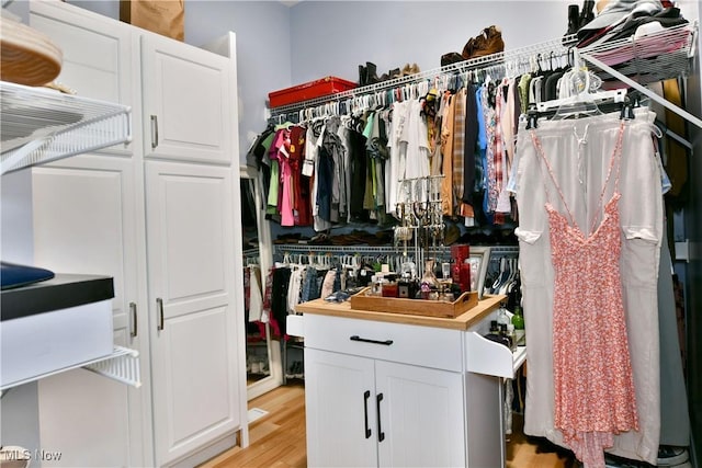 257 Country Club Dr SE, Warren, OH 44484 - spacious closet featuring light wood-type flooring