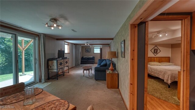 11 Garfield Ave, New Concord, OH 43762 - living room featuring light colored carpet