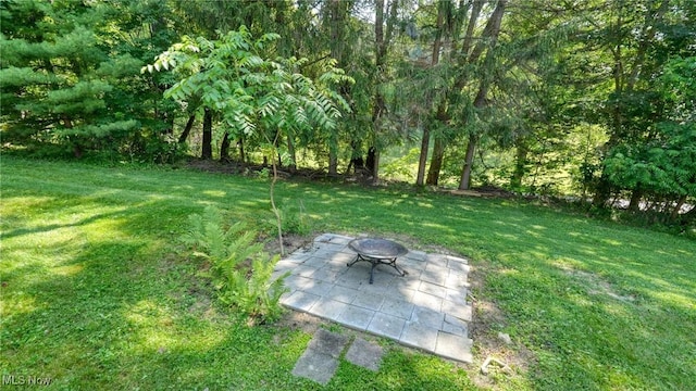 11 Garfield Ave, New Concord, OH 43762 - view of grassy yard with a patio and a fire pit
