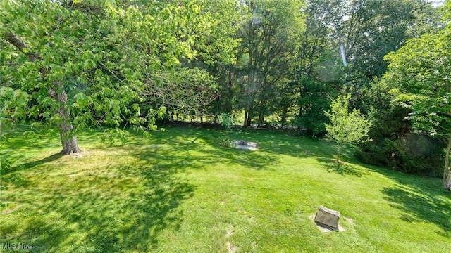 11 Garfield Ave, New Concord, OH 43762 - view of grassy yard