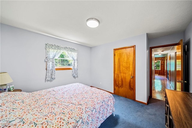 3988 Lake Rd, Conneaut, OH 44030 - bedroom with carpet flooring and a closet