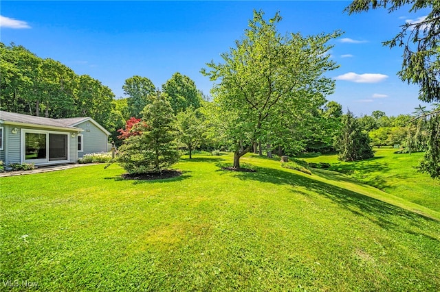 3988 Lake Rd, Conneaut, OH 44030 - view of green lawn