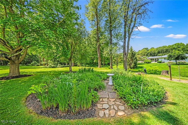 3988 Lake Rd, Conneaut, OH 44030 - view of green lawn