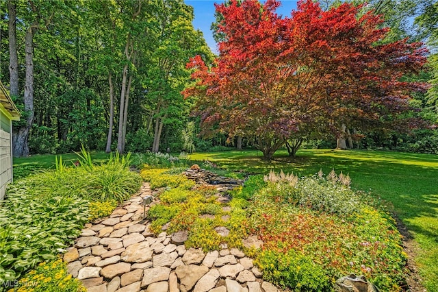 3988 Lake Rd, Conneaut, OH 44030 - view of grassy yard