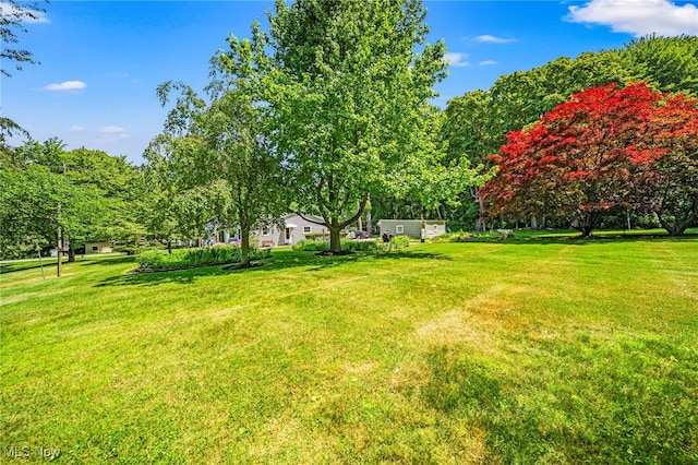 3988 Lake Rd, Conneaut, OH 44030 - view of green lawn