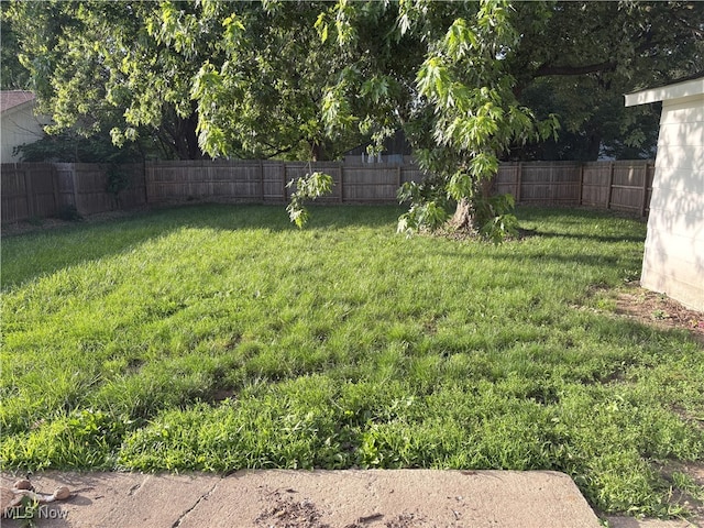 9513 Edison St NE, Alliance, OH 44601 - view of fenced backyard