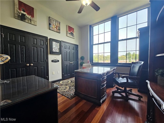 7482 Center St Unit 5, Mentor, OH 44060 - office space featuring dark wood finished floors and a ceiling fan