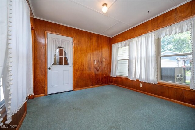 573 Grandview Ave, East Palestine, OH 44413 - spare room featuring carpet flooring, wood walls, and crown molding