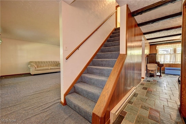 48846 Cain Ridge Rd, Clarington, OH 43915 - stairway featuring baseboard heating, carpet floors, and stone finish floors