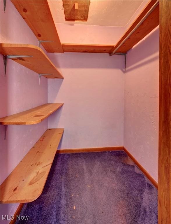 48846 Cain Ridge Rd, Clarington, OH 43915 - spacious closet featuring carpet flooring