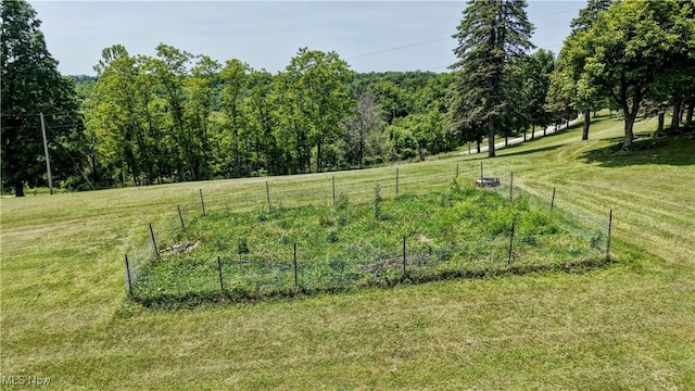 48846 Cain Ridge Rd, Clarington, OH 43915 - view of yard featuring a vegetable garden and a view of rural / pastoral area