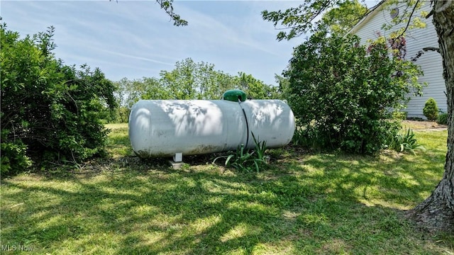 48846 Cain Ridge Rd, Clarington, OH 43915 - view of green lawn