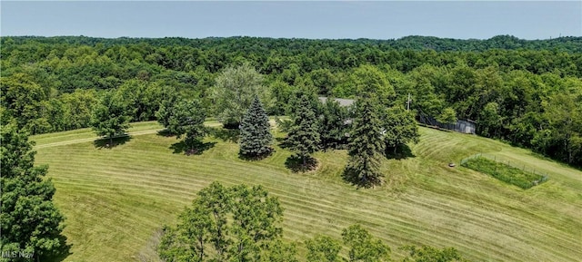 48846 Cain Ridge Rd, Clarington, OH 43915 - aerial view of a forest