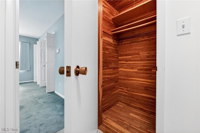 21349 Shelburne, Shaker Heights, OH 44122 - view of closet