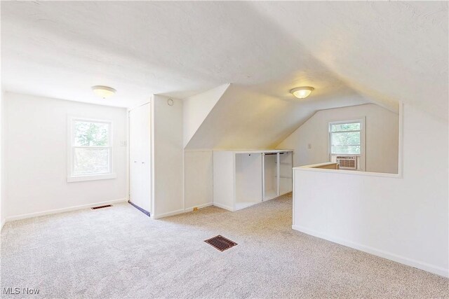 259 Ravine St, Steubenville, OH 43952 - photo 29