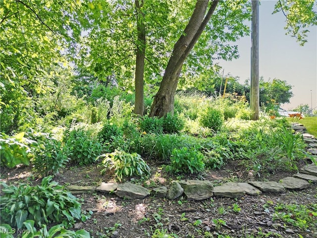 259 Ravine St, Steubenville, OH 43952 - photo 49