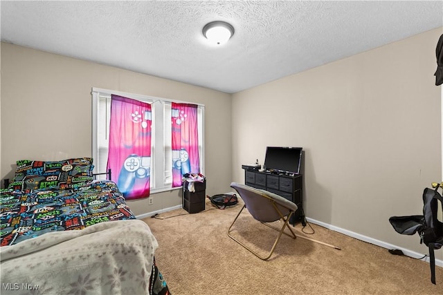 610 E 102nd St, Cleveland, OH 44108 - bedroom with carpet flooring and a textured ceiling