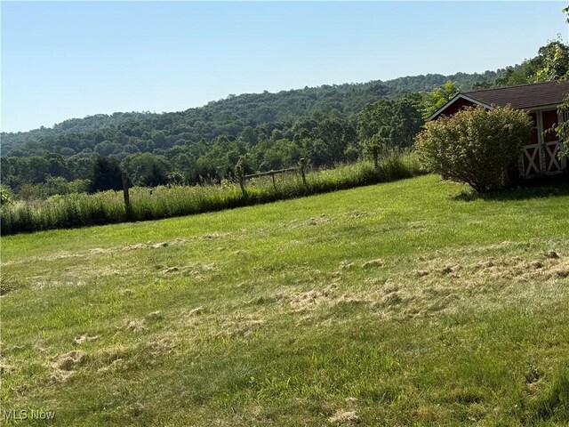 78551 Hamilton Ridge Rd, Freeport, OH 43973 - photo 9