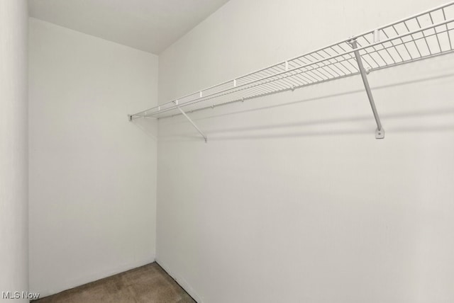 232 Damon Dr, Munroe Falls, OH 44262 - spacious closet with carpet