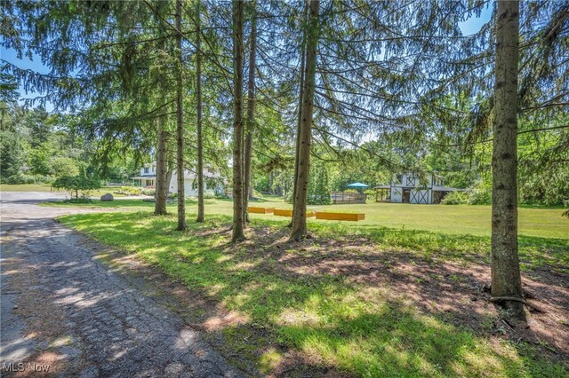 8347 Merrie Ln, Chesterland, OH 44026 - photo 43