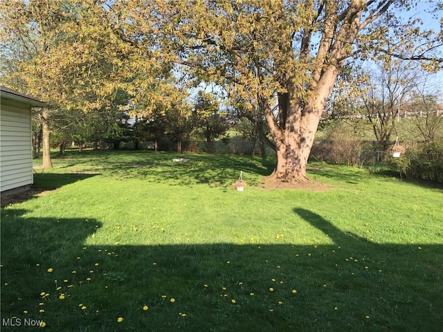 5785 Fitch Rd, North Olmsted, OH 44070 - view of yard