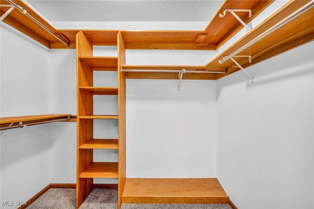 3578 County Line Rd, Madison, OH 44057 - walk in closet featuring carpet flooring