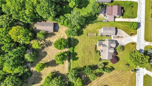 3578 County Line Rd, Madison, OH 44057 - drone / aerial view