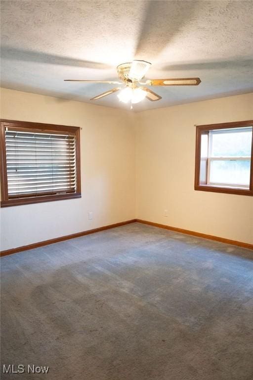 138 N Canfield Niles Rd, Youngstown, OH 44515 - photo 9