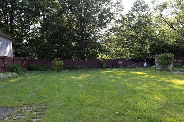 138 N Canfield Niles Rd, Youngstown, OH 44515 - photo 24