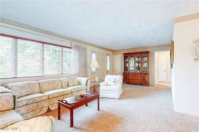 6803 County Road 22a, Bloomingdale, OH 43910 - living room featuring carpet floors and baseboards