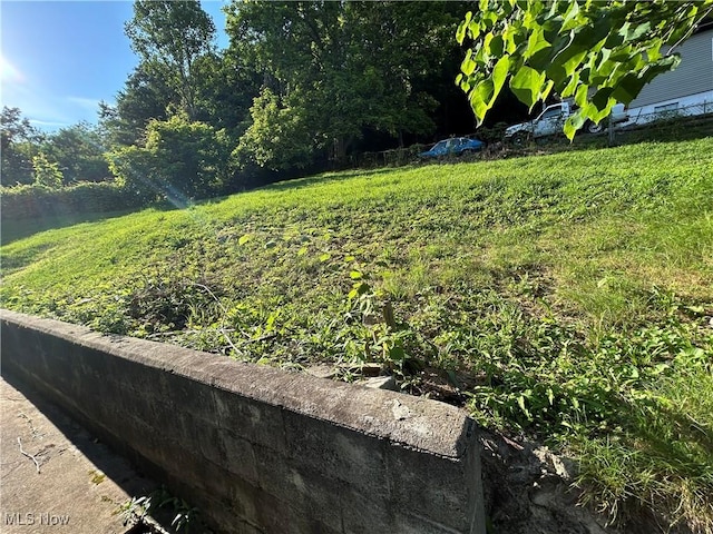 73 High St, Clay, WV 25043 - view of yard